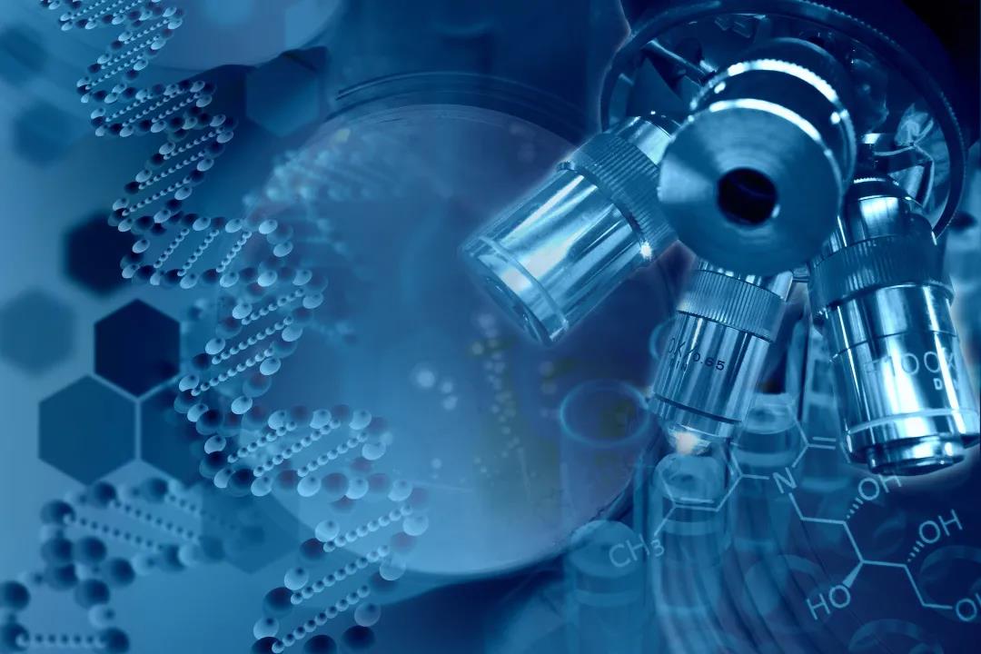 1627613578340872.jpg 1627613578340872.jpg