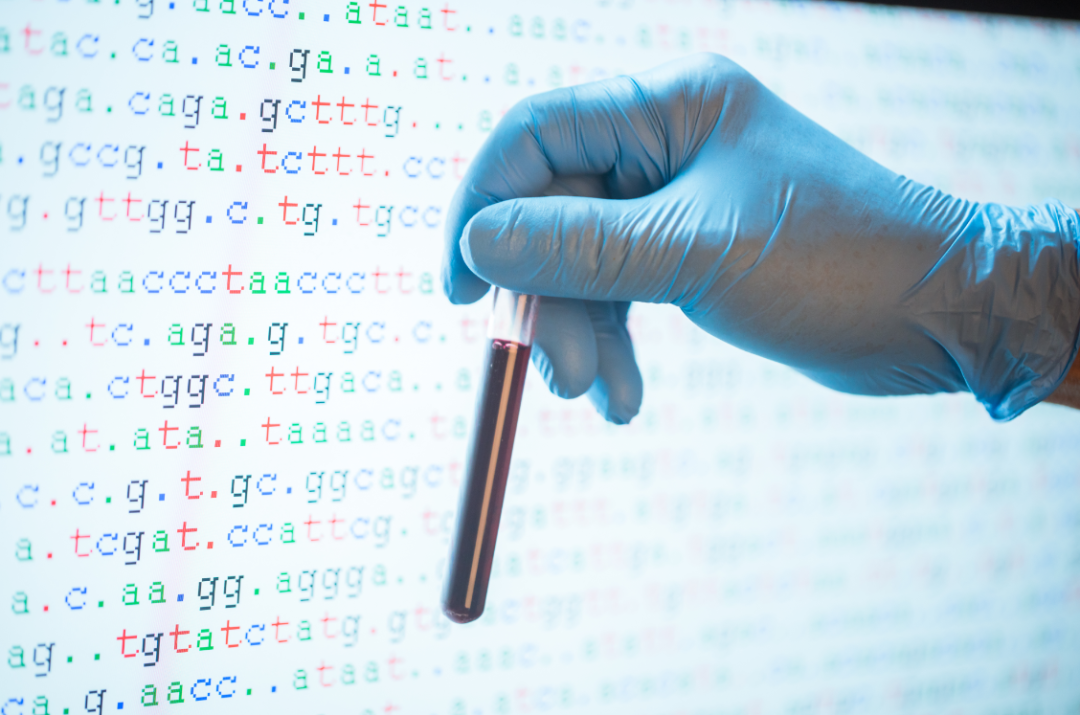 1627613631664502.png 1627613631664502.png