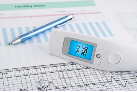 1728530474255281.png image.png