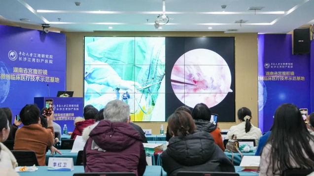 1735003477368244.png image.png