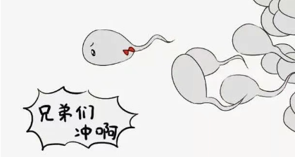 1741915751359150.png image.png