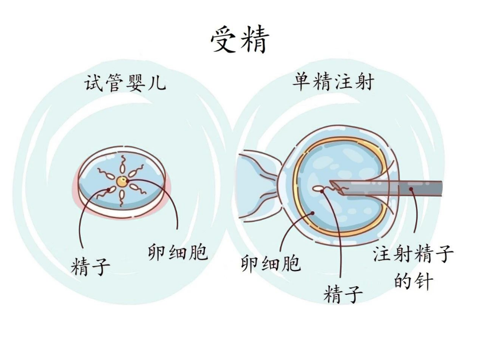 1743387707160576.png image.png