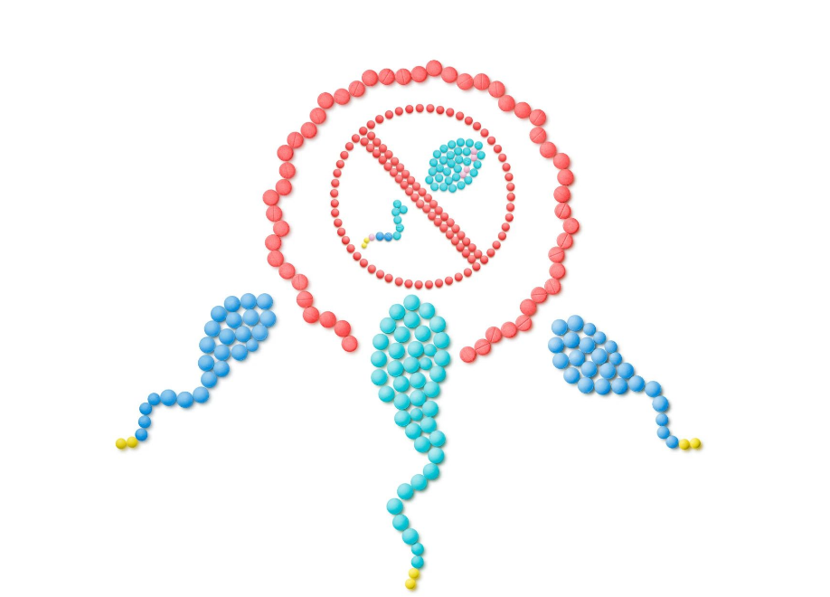 1743387720753125.png image.png