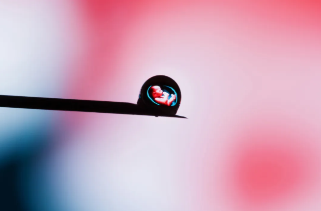 1743387733564660.png image.png