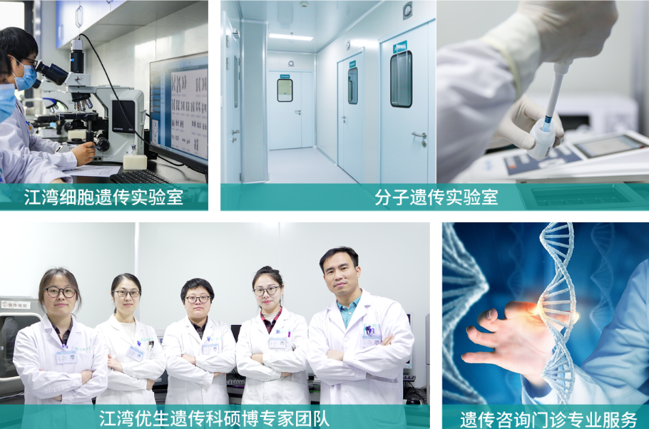 1743388198753358.png image.png