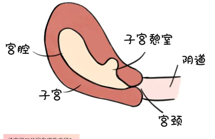 1743388680688151.png image.png