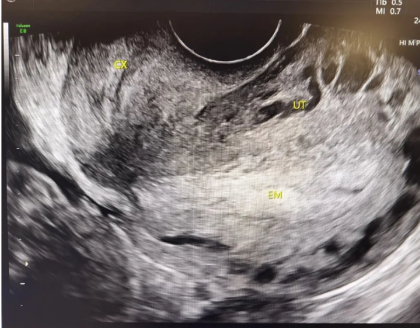 1743388732763098.png image.png