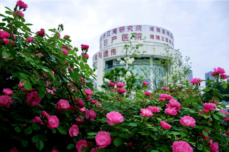 1744421546281556.png image.png