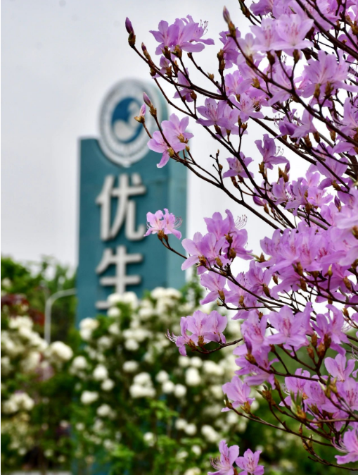 1744421563723341.png image.png