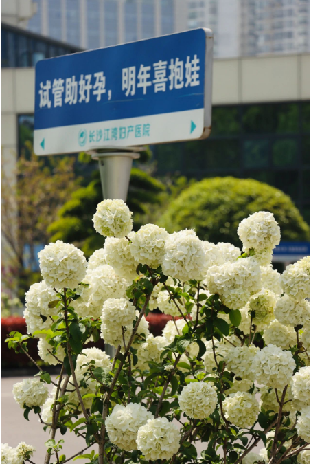 1744421587686761.png image.png