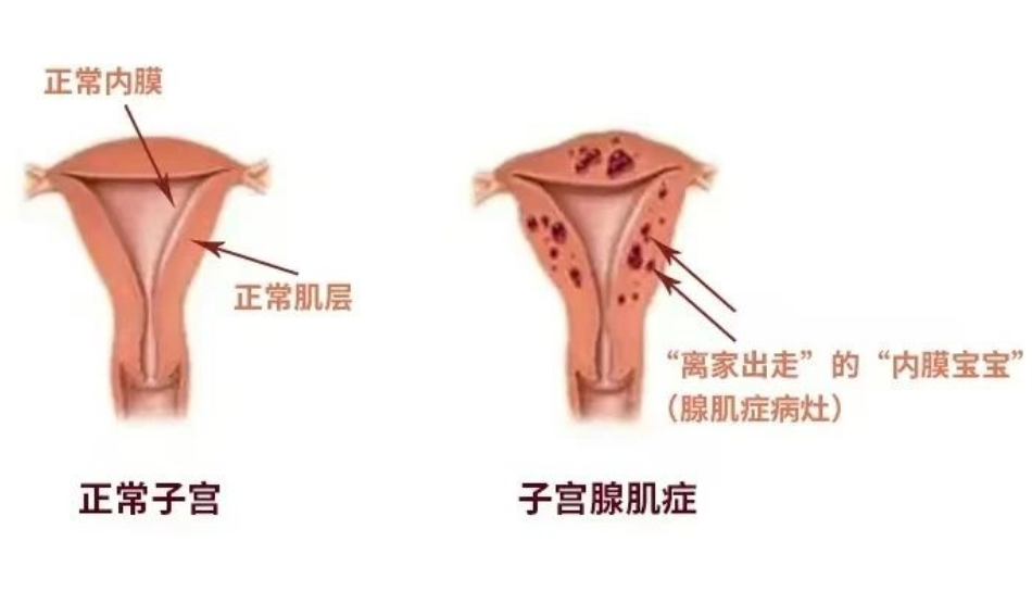 1745976487679211.png image.png