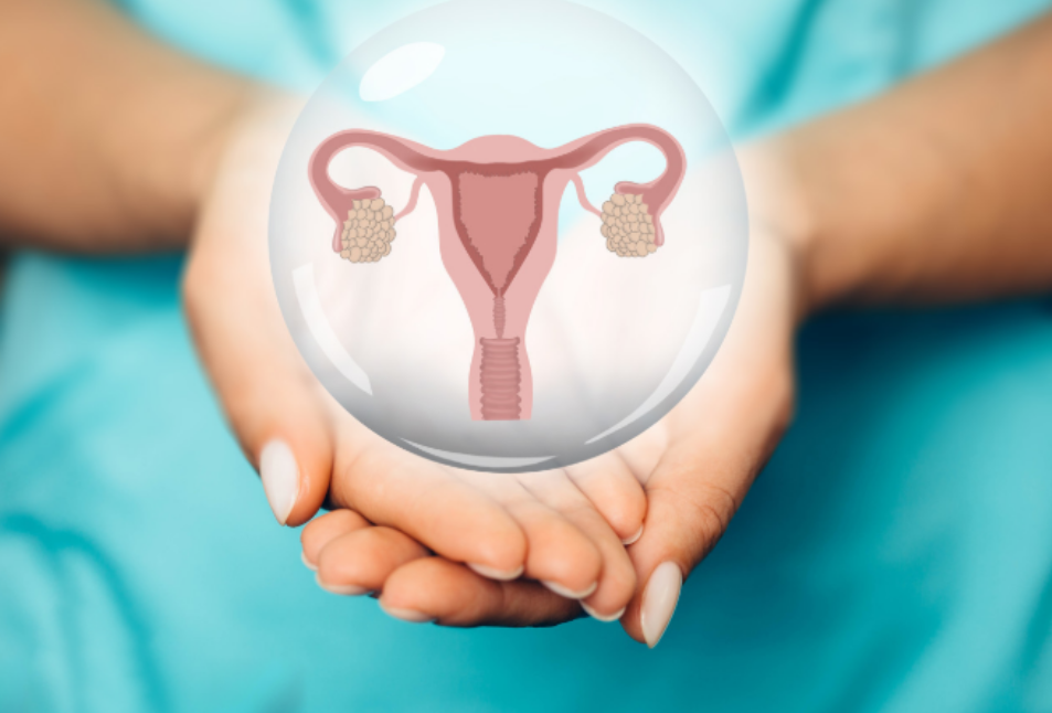 1745976561475582.png image.png