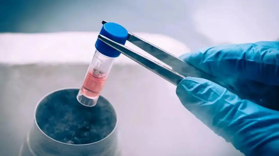 1752887375772364.png image.png