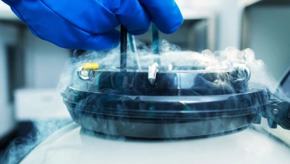 1752887396836713.png image.png