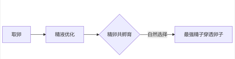 1752888042807146.png image.png