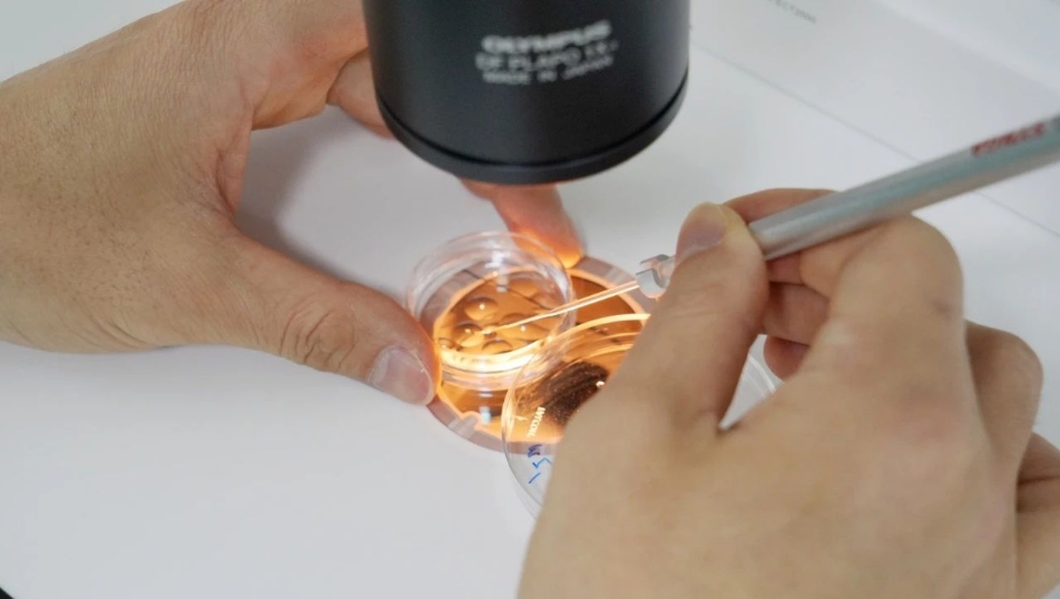 1752888056153174.png image.png