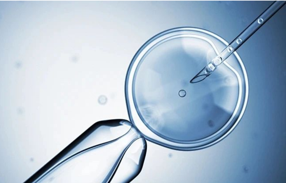 1752888074288689.png image.png