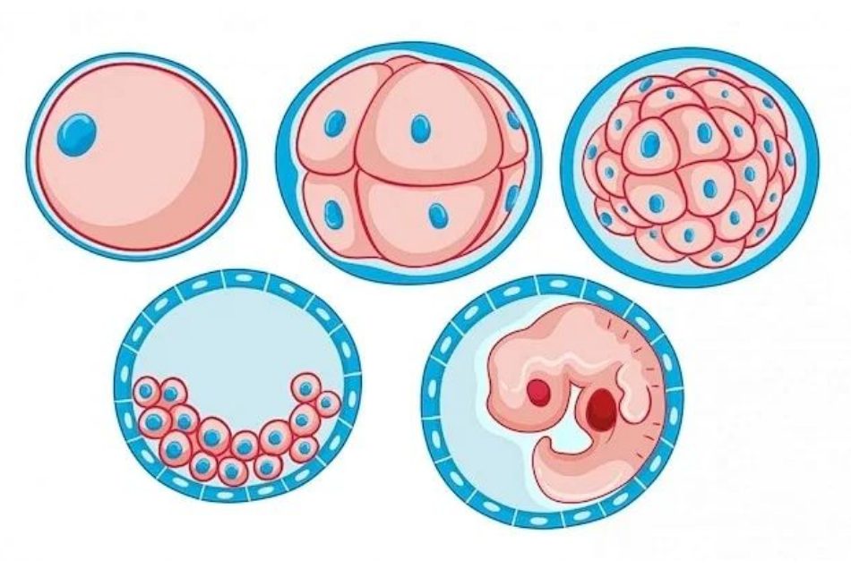 1752888113532495.png image.png