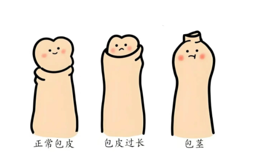 1752889984173037.png image.png