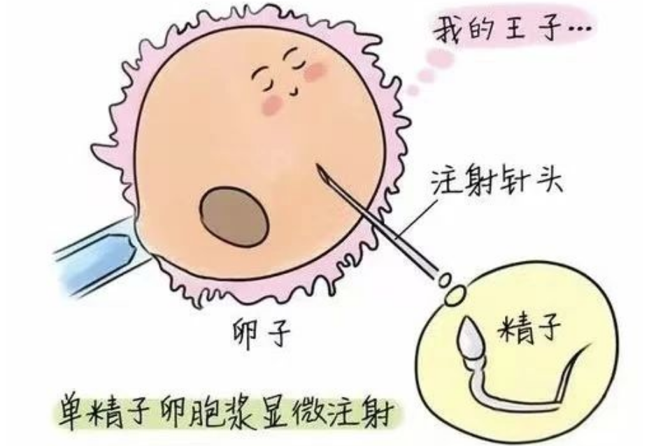 1753065516987621.png image.png