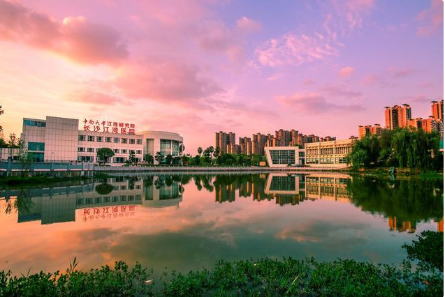 1753068618258997.png image.png