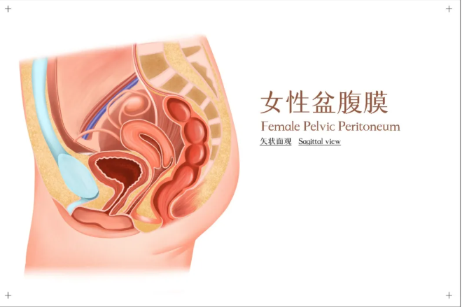 1755223067123475.png image.png