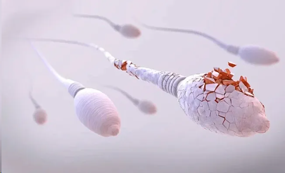 1757726819336654.png image.png