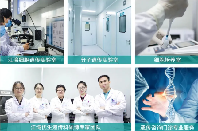 1762822815881074.png image.png