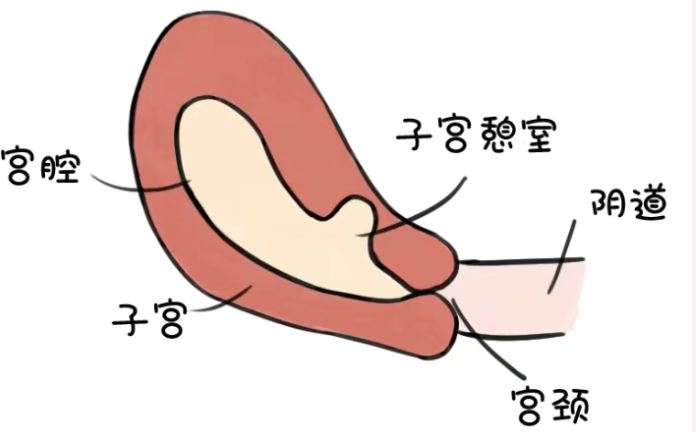 1782872731370321.png image.png
